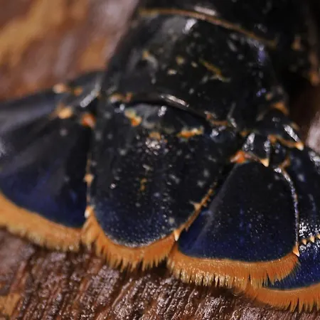 ゲストハウス キング シトリック