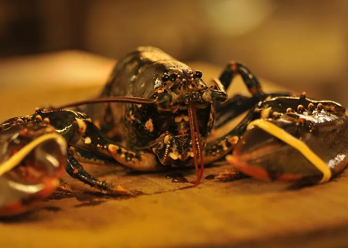 King Sitric Gasthof Howth